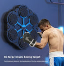 Boxing Target Machine for Home Training