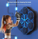 Boxing Target Machine for Home Training